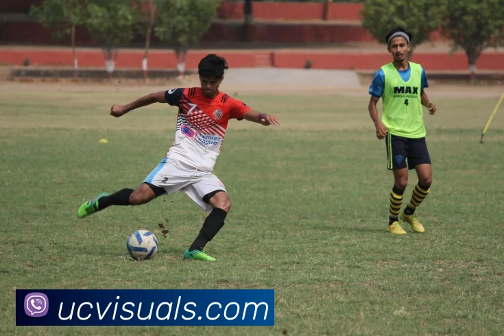 三亿体育入口APP 封面图